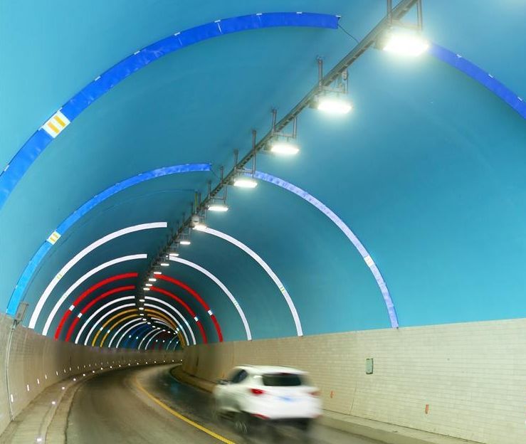 "彩虹隧道"亮相浙江安吉