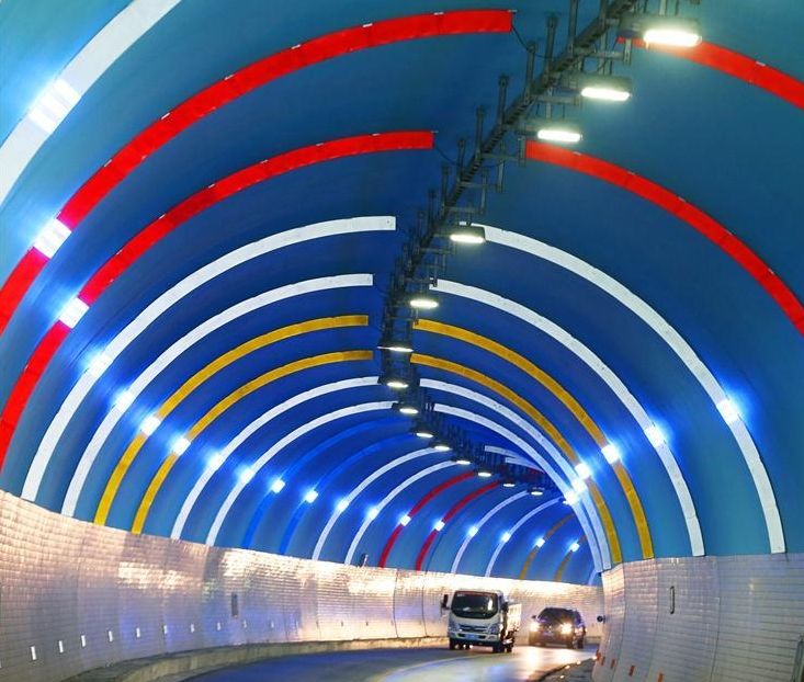 "彩虹隧道"亮相浙江安吉