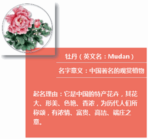 台风起名将评审：皮皮虾熊猫等9个名字进入候选