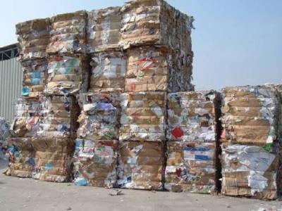 港府采取措施应对部分回收商停收废纸