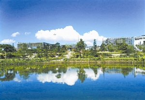 留住天蓝草绿！龙岗区开展生态文明建设“细胞工程”