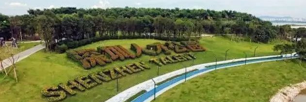 11月1日，深圳又一全新主题公园开园！