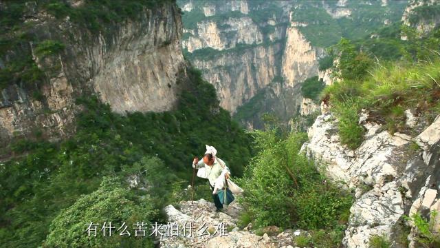 微视频 | 十九大代表赵月芳：“猫路”上的信使