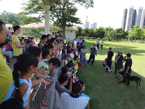 警察带警犬到人员密集场所巡逻，警方提醒市民勿抚摸警犬