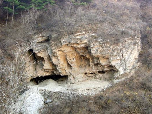 4万年前北京人DNA成功测序 系首个中国古人类基因组  