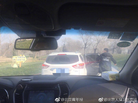 当事游客回应