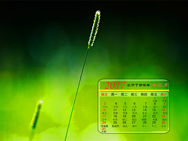 12月月历 | 你在北方裹着貂 我在金钟花下露着腰