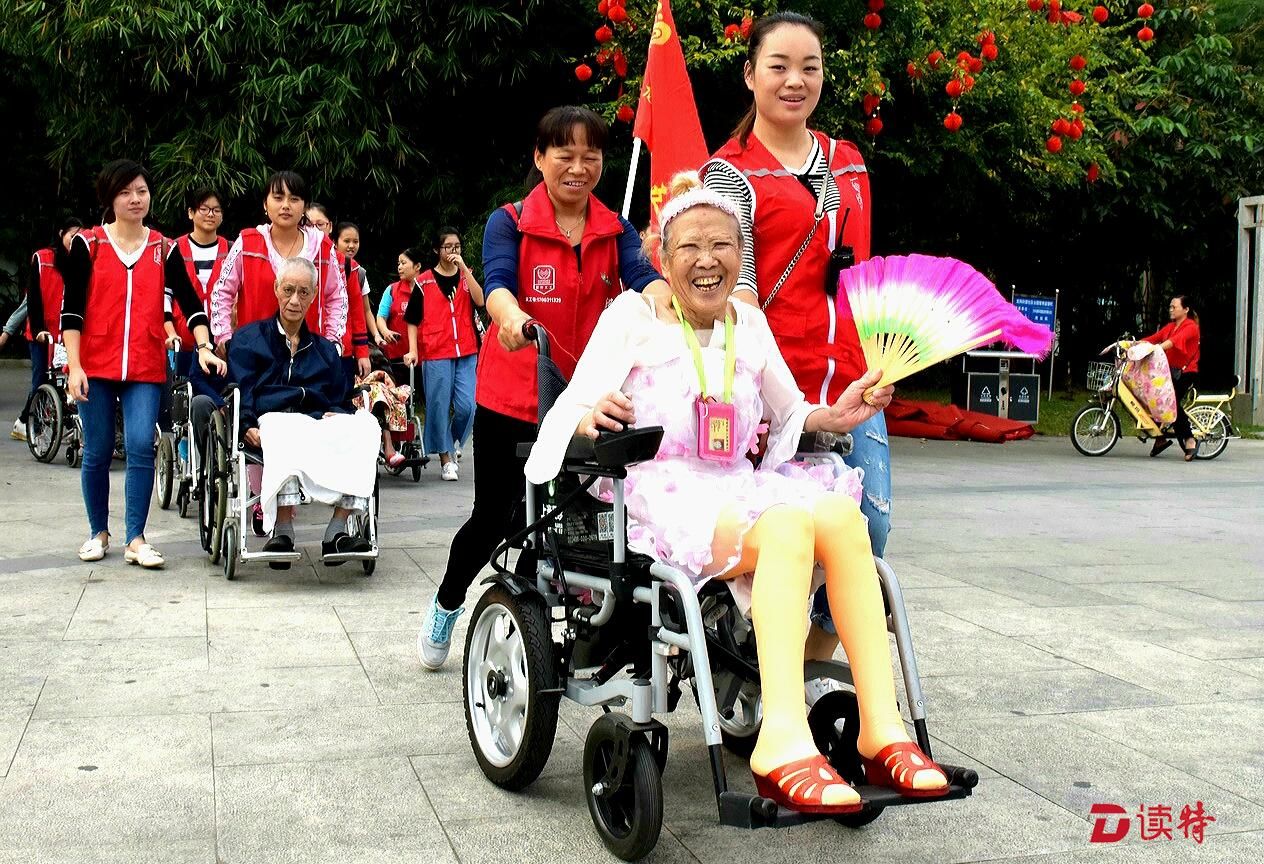 爱在深秋  深圳龙岗40多位老人坐轮椅赏龙园美景