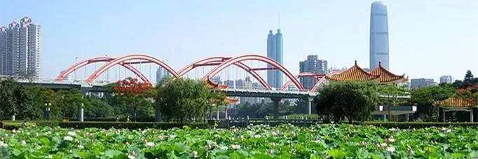 如约而至,这份第十二届深圳市公园文化周攻略请收好!
