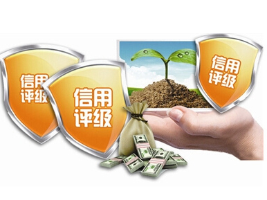 两部门：失信被执行人名单纳入纳税信用评价体系