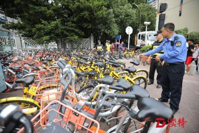 数百辆共享单车侵占人行道 涉事两家企业被执法部门警告