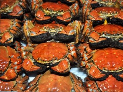注意啦！香港查出一批大闸蟹二恶英等含量超标
