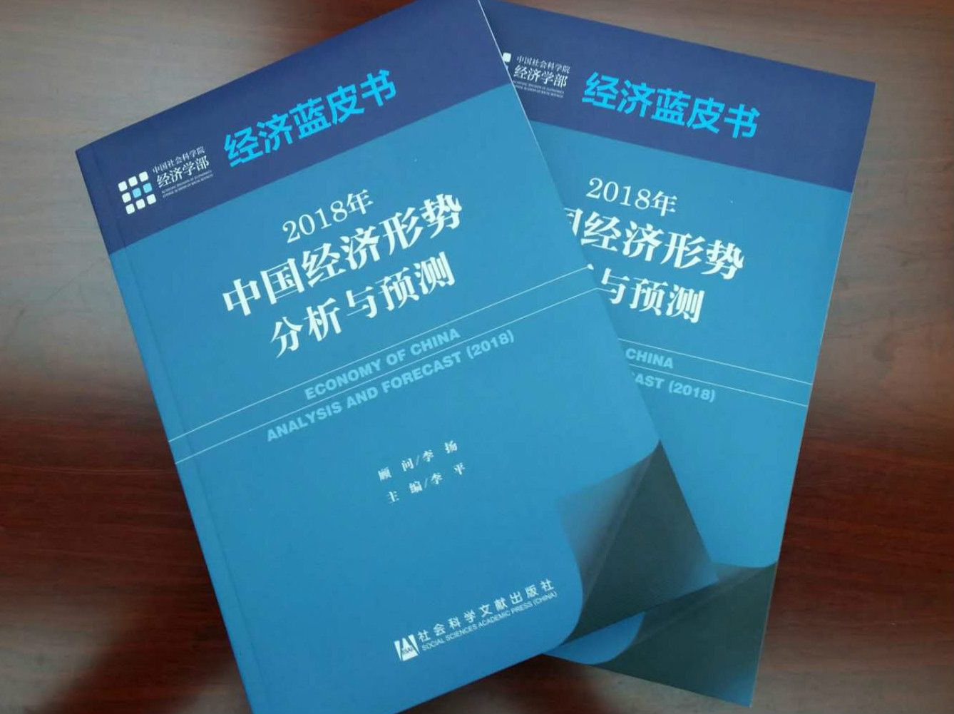 《经济蓝皮书》发布:预计明年我国GDP增长率约为6.7%