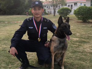 深圳的警犬汪星人打擂台！“武林盟主”是这样炼成的 