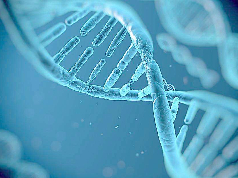 科学家找到同性恋基因 下丘脑某些部位比普通人大出34%
