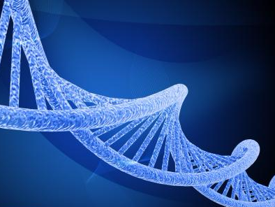 我国科学家破译细胞“返老还童”二维码 