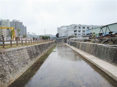 日夜奋战33天！龙岗区宝龙南约河生态补水通水运行