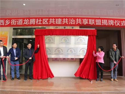正式揭牌！宝安首个共建共治共享联盟“花开”龙腾