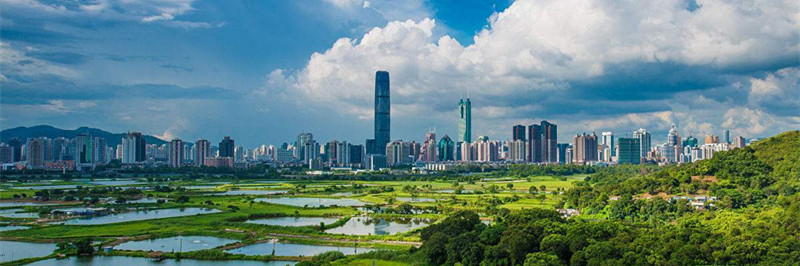 总书记考察深圳五周年，光明日报四整版解码