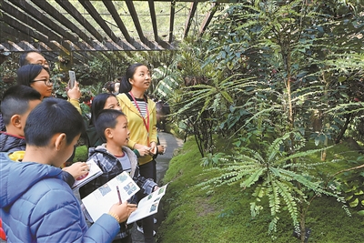 25组家庭参与植物探索公益活动