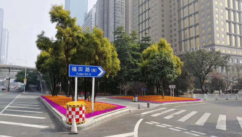 马路上这个“小岛”怎样提高“颜值”？深圳请你想点子