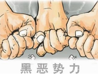 中共中央、国务院决定：在全国开展扫黑除恶专项斗争