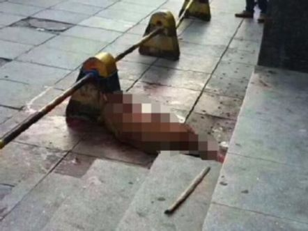 民警杀金毛犬被