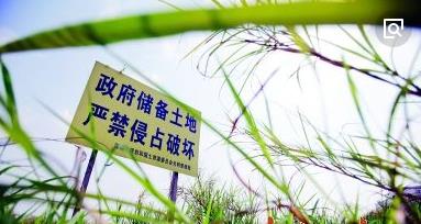 保障产业空间！龙城街道清理国有储备地2万余平方米