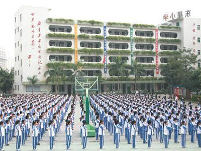 学位供给不足？委员建议加快新建学校规划审批建设进度
