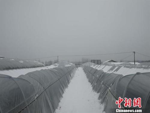 北半球多国遭极端天气 恶劣天气频发是否有关联？