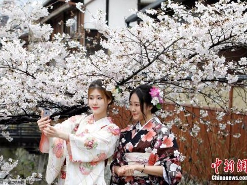 日本预报：樱花最早于3月22日绽放