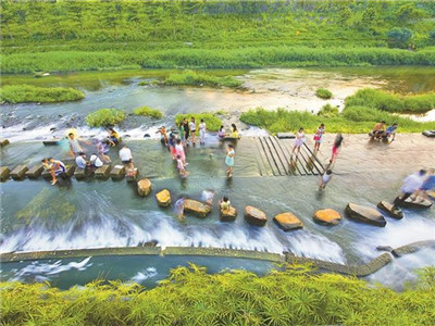 龙岗区人大常委会聚焦民生热点难点精准发力
