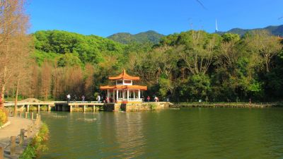 今年春节游仙湖仍需预约入园 