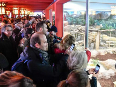 寒风瑟瑟游客热情不减 是谁让法国动物园这么火？