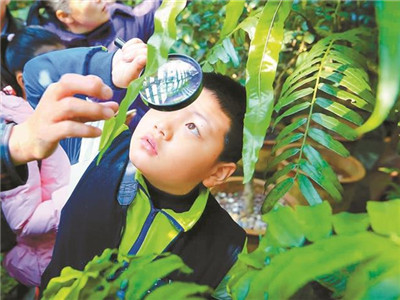 罗湖举办“感童身受”植物探索公益活动