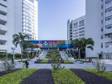 廖海兰代表建议： 加快建设深圳第三儿童医院