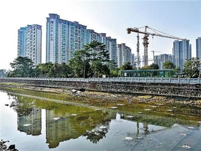 赞！新圳河四项考核指标都达到“不黑不臭”的治理标准