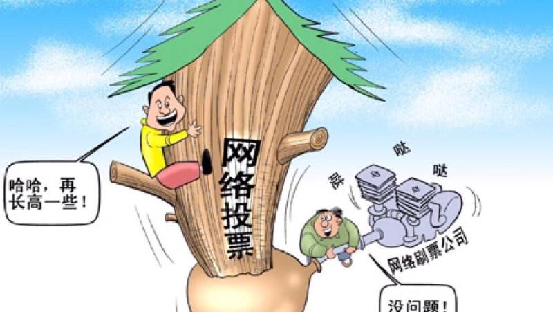 网络投票不应该被人情和金钱“绑架”