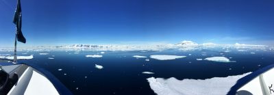 读特记者“闯”南极｜这个“夏天”有点冷！冰冻星球的不孤独之旅