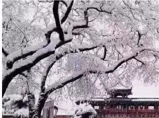 5℃！寒冷橙色预警时隔两年再现深圳！