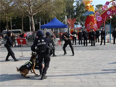 不打招呼不设剧本不走形式！大鹏警方春节前反恐应急演练