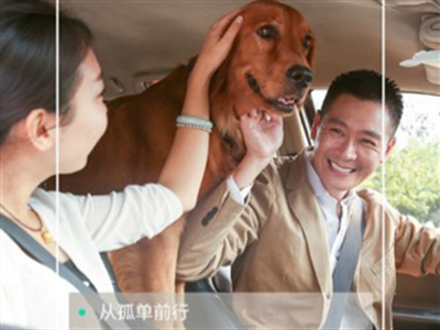 滴滴春节数据： 成都泉州深圳广州市民出行最多