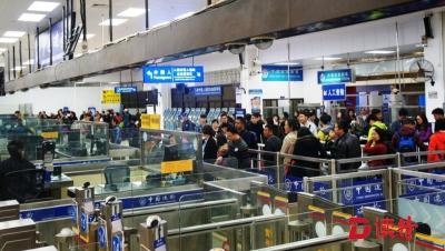境外游旅客陆续返程 皇岗福田口岸日均出入境逾20万人次