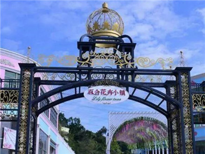 2018龙岗迎春花市陆续开放啦，这四大分会场等你来！