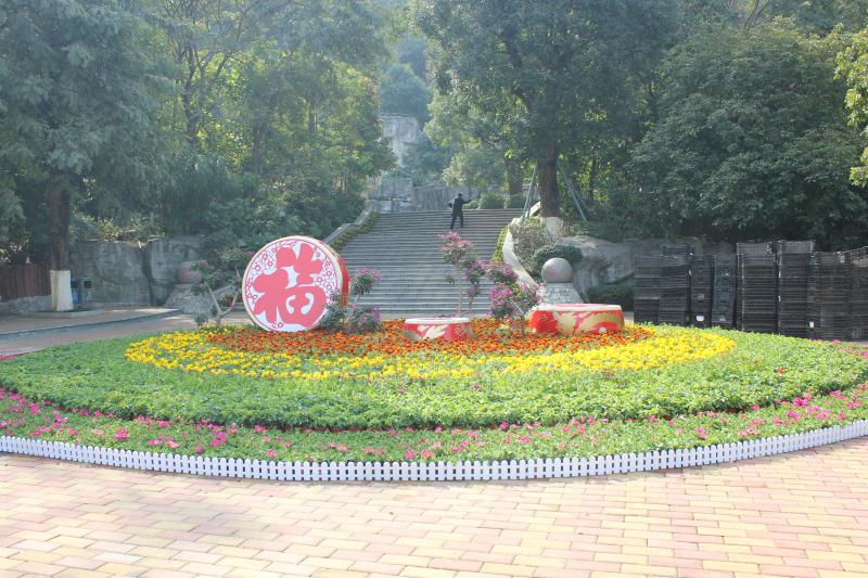 鲜花、灯笼……福永扮靓市容让市民提前感受浓浓年味