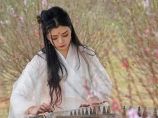 花香景美有古韵！市民来逛龙岗百合花卉小镇有爱有福利
