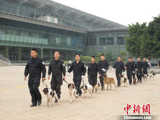 广东警犬数达2025头全国第一 参与实战年均15万次