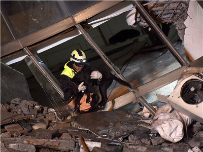 花莲地震失联大陆游客3人确认遇难 遇难人数升至15人