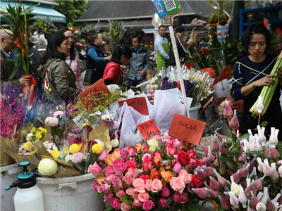 一起逛起来，2018深圳迎春花市都开市啦