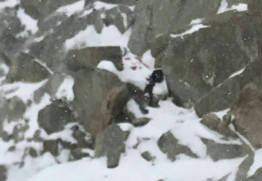 违规攀山女子被雪覆盖照曝光:基本确定遇难,家属已赶到